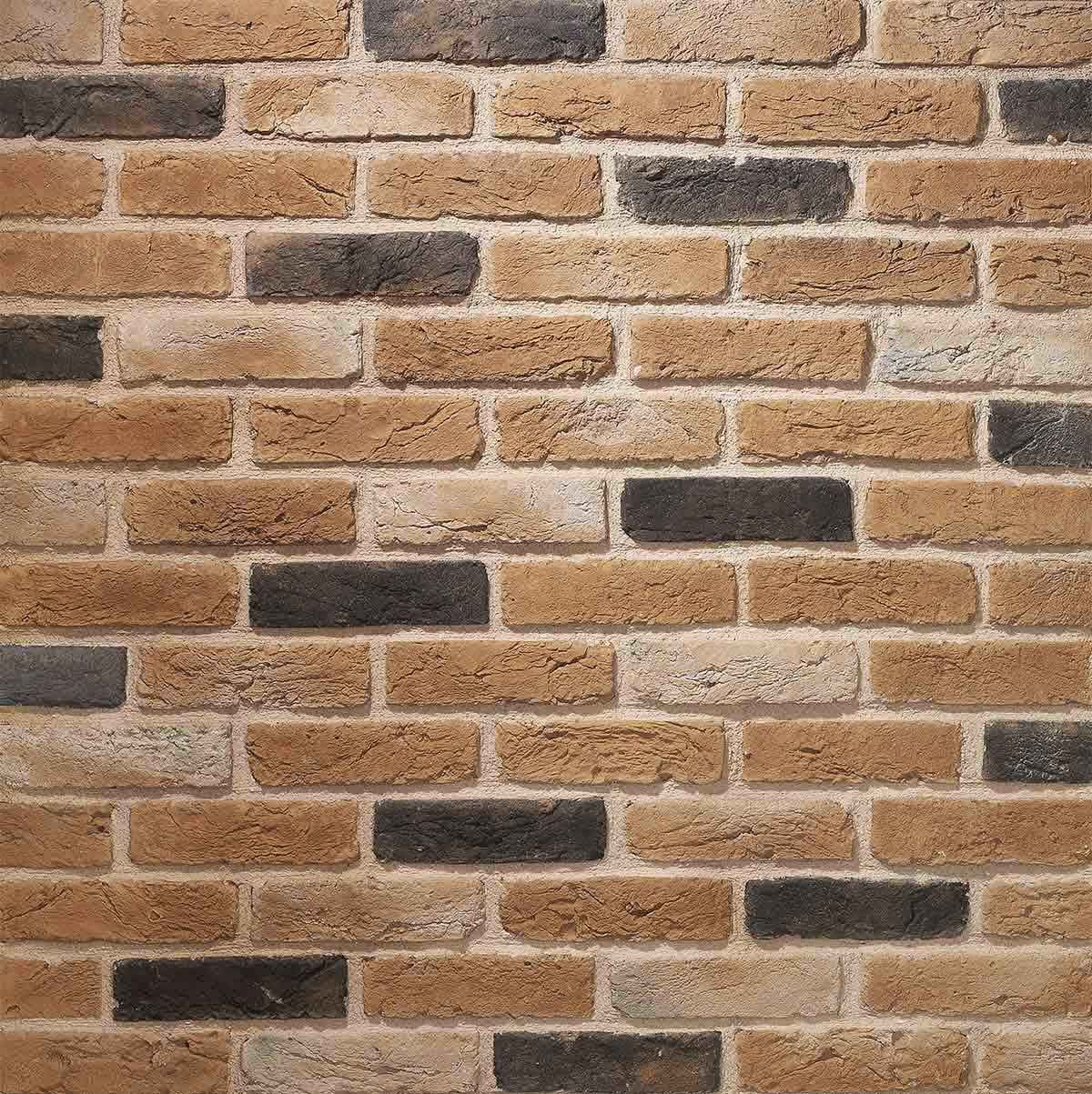 Windy Brick 2806 Thin Brick Veneer | Brick My Walls