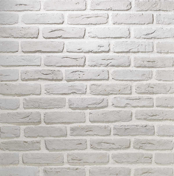 Cement Based Brick Veneering