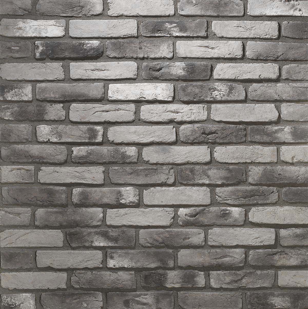 Renewed Antique Brick 2919 Thin Brick | Brick My Walls