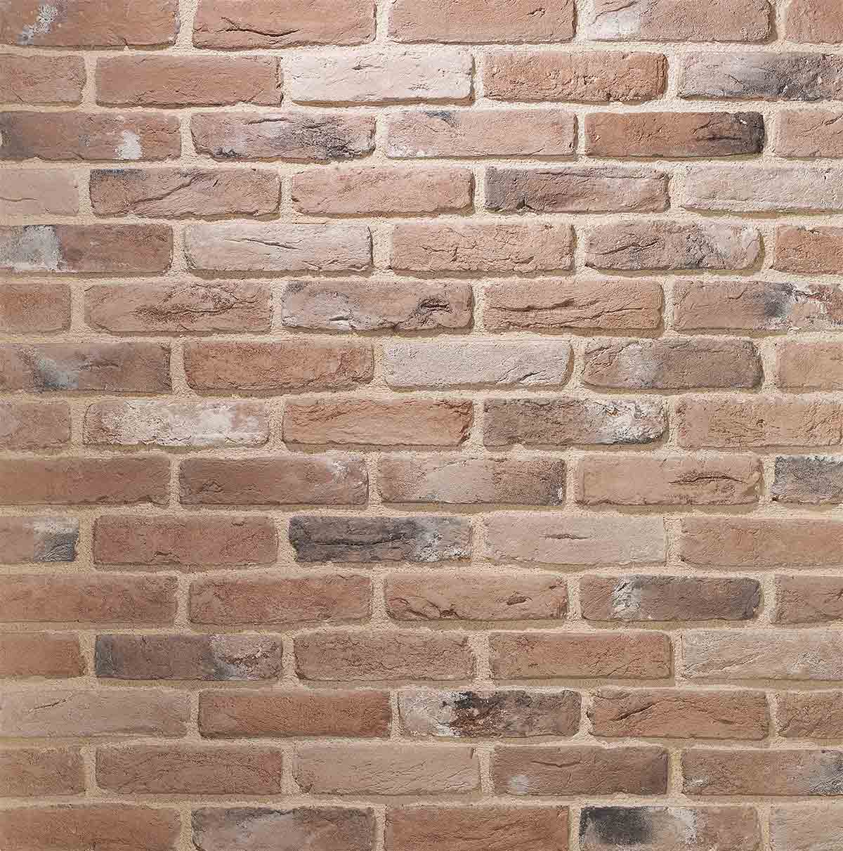 Renewed Antique Brick 2920 Thin Brick | Brick My Walls