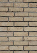 Modular Cream Thin Brick Veneer. Pale Ivory with Sandy-Hues. 1/2″ Thickness. Subtly Aged Surface with Distressed Corners.