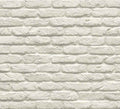 Windy Brick 1101. White Thin Brick Veneer. Handcrafted Look with Tumbled Edges. Half-Inch Thickness.
